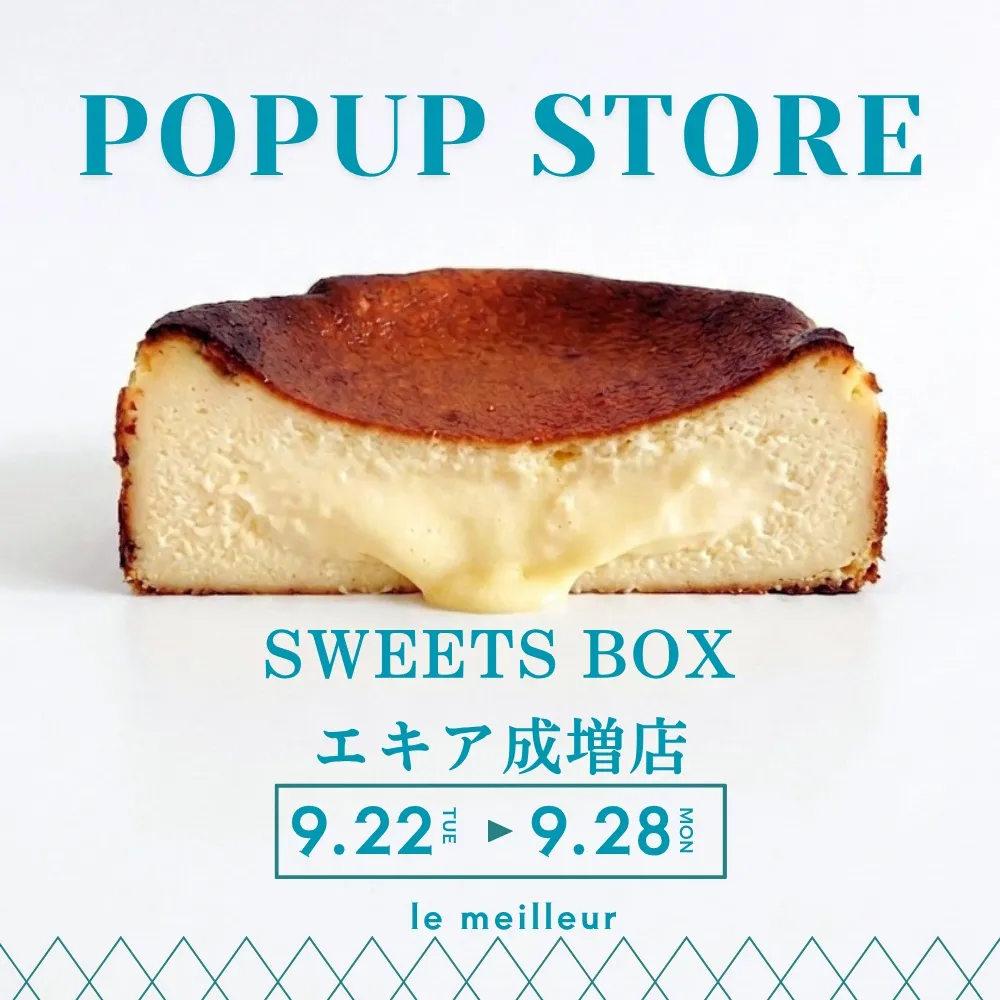 名古屋発、とろけるバスクチーズケーキ